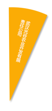 中国·金沙9570(集团)有限公司官网