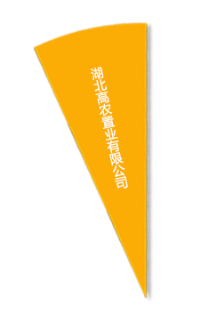 中国·金沙9570(集团)有限公司官网