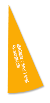 中国·金沙9570(集团)有限公司官网