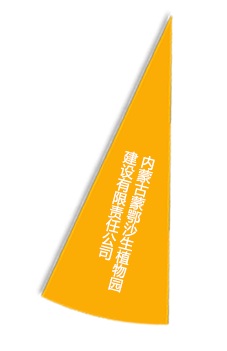 中国·金沙9570(集团)有限公司官网