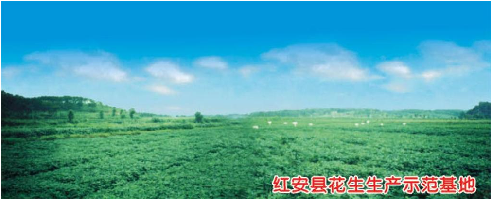 中国·金沙9570(集团)有限公司官网