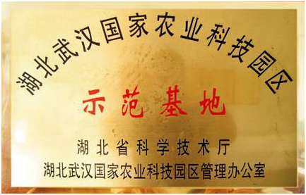 中国·金沙9570(集团)有限公司官网