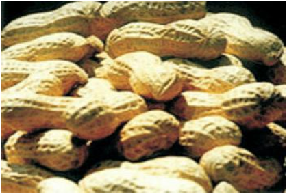 中国·金沙9570(集团)有限公司官网