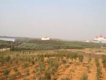 中国·金沙9570(集团)有限公司官网