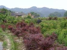 中国·金沙9570(集团)有限公司官网