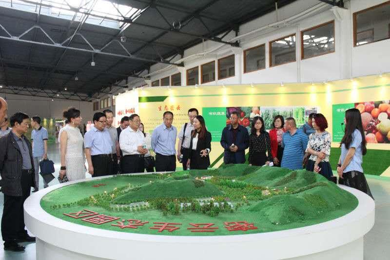 中国·金沙9570(集团)有限公司官网