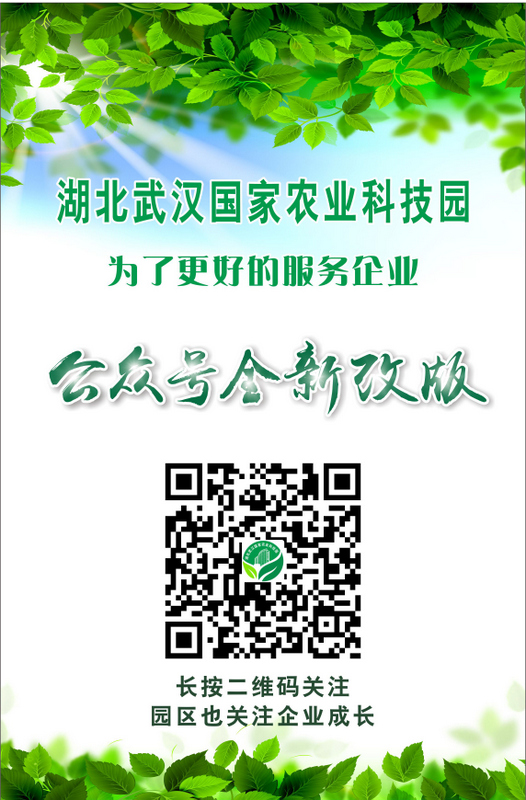 中国·金沙9570(集团)有限公司官网