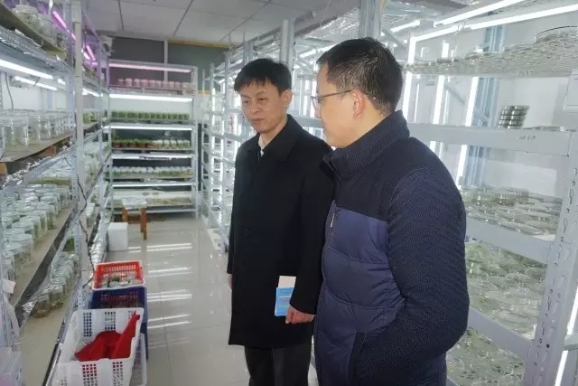 中国·金沙9570(集团)有限公司官网