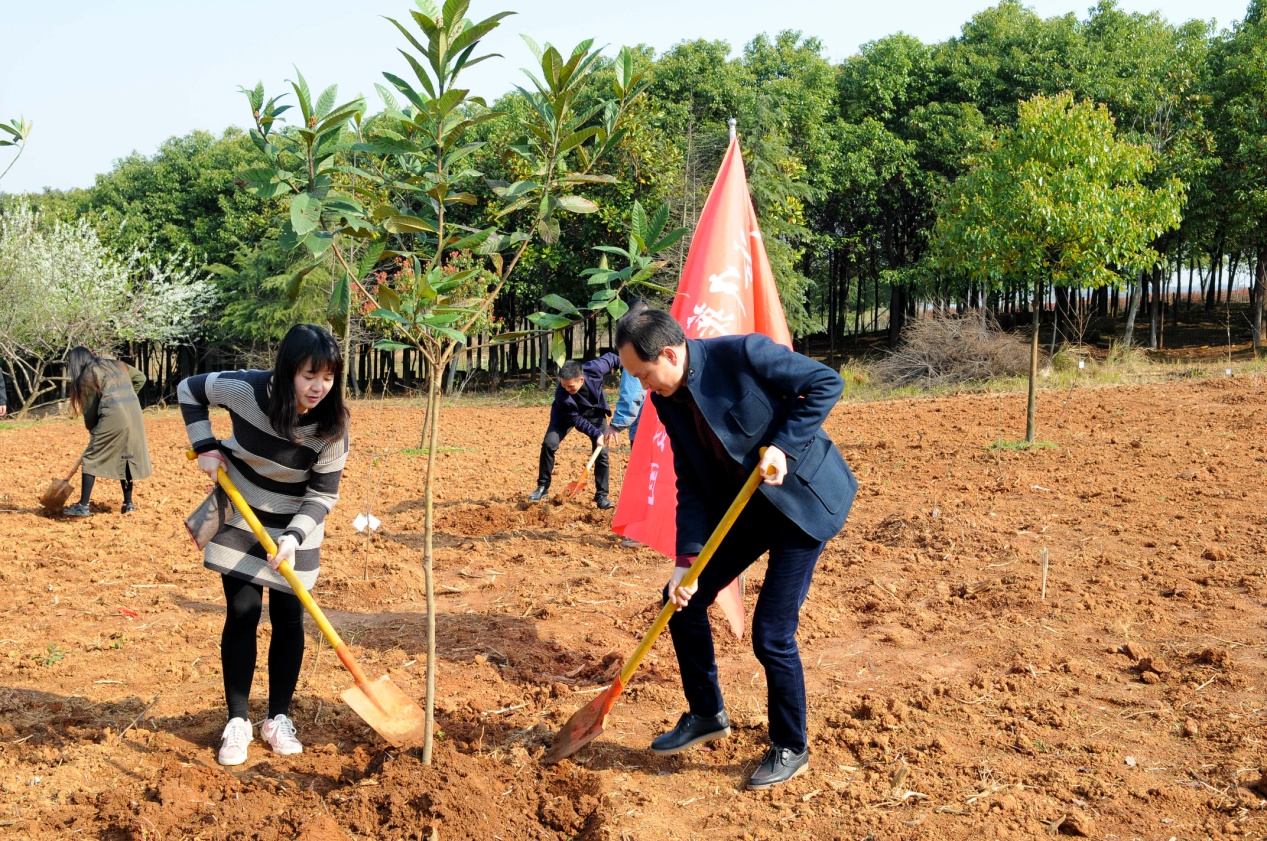 中国·金沙9570(集团)有限公司官网