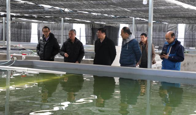 中国·金沙9570(集团)有限公司官网