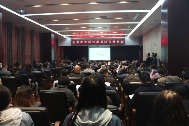 中国·金沙9570(集团)有限公司官网